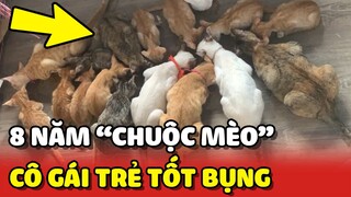 Hành trình "8 NĂM CHUỘC MÈO" của CÔ GÁI TỐT BỤNG khiến mọi người đồng cảm ❤️ | Yêu Lu