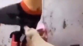 “Apakah umat manusia benar-benar punya kesempatan?”