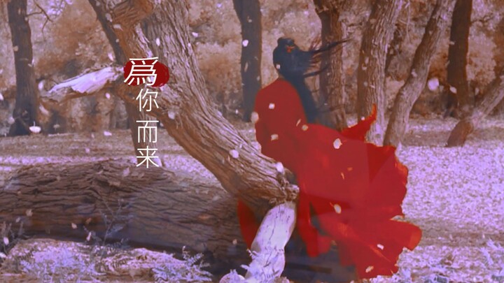 [Historical Costume Female Ensemble || Dialogue-Driven || Intense and Heartbreaking Moments] [Coming