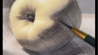 [Still Life Sketch] Line Direction