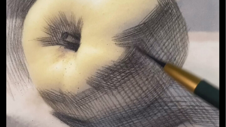 【Phác thảo tĩnh vật】Hướng kẻ nét