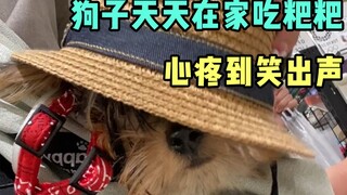 狗子天天在家吃粑粑,带它去餐厅吃一顿吧
