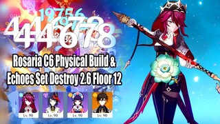 Rosaria C6 Physical Build & Echoes Set Destroy 2.6 Floor 12 - 45k DMG Per Hit?