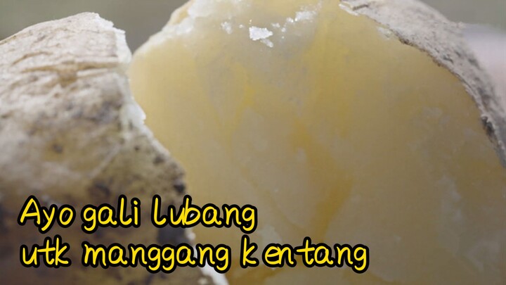 Ayo gali lubang utk manggang kentang