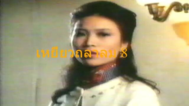 เหยี่ยวถลาลม8