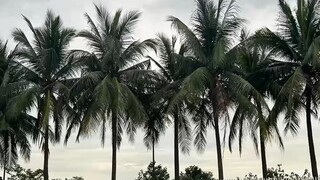 让时间来治愈