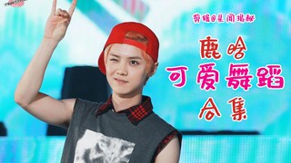 【鹿晗】鹿晗女团舞（可爱向）舞蹈合集