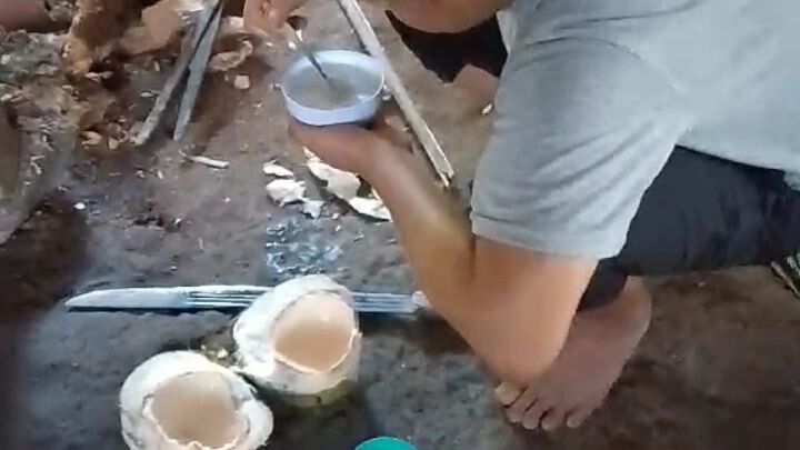 buah kelapa segerr