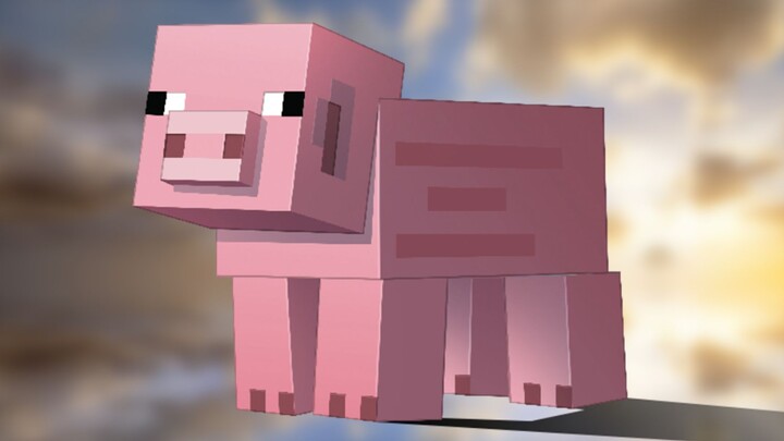 All the knowledge and traits about “pigs” — let a pig reach a height of 255 meters at lightning spee