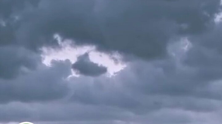 برق مستقيم جدًا، البرق: لم أتوقع أبدًا أن أكون مستقيمًا في هذه الحياة!!! #جائزة_التعليقات_الترفيهية 