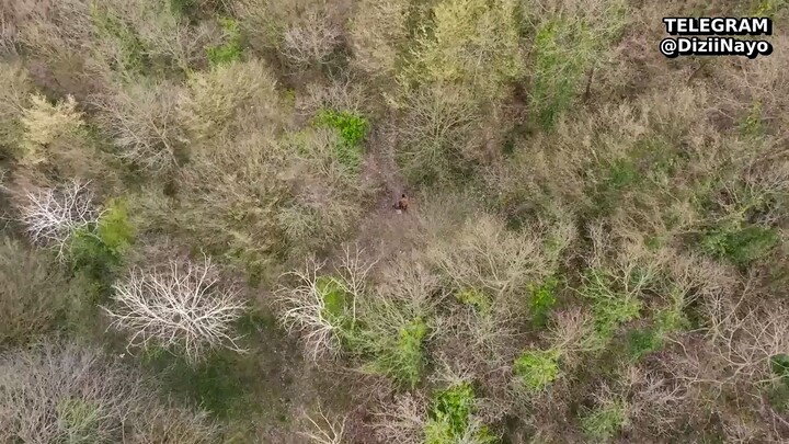 Sevdigim Sensin - Episode 10 Trailer (Sub Indonesia)