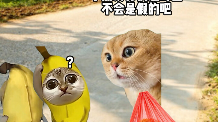 Giấy chứng nhận hiện rõ trên gương mặt