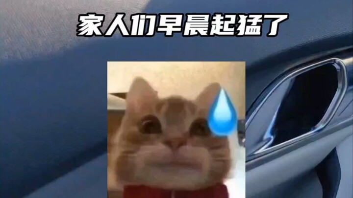【Duckie Deck】This time, it’s really not my fault