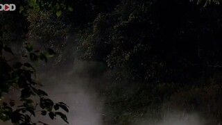 Swamp-Devil-(2008)