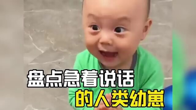 Roundup of Human Babies Who Can’t Stop Talking! Did someone water down the Mengpo Soup? Every word o