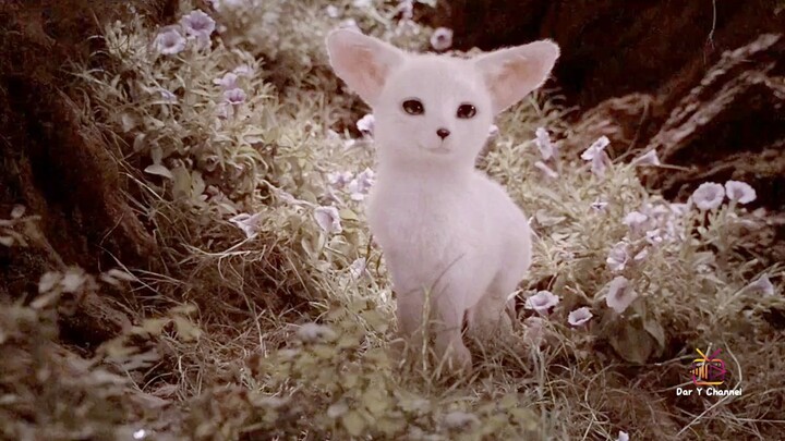 Chinese Ghost Story (2011)