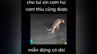 hàihướcvuinhộn hàihướcvuivẻ giaitri giaitriviet24h giaitritiktok hàitiktok hàihuoc xuhuong xuhuongtiktok