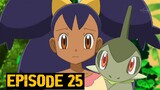 Pokemon: Black and White Episode 25 (Eng Sub)