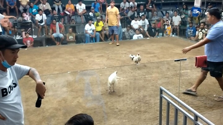 2hits ulutan lingayen solidnorth arena lose nalastcard pa