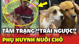 Tâm trạng TRÁI NGƯỢC trong 1 ngày của phụ huynh khi NUÔI CHÓ 😂 | Yêu Lu