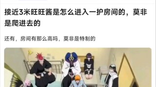 接近3米旺旺酱是怎么进入一护房间的，莫非是爬进去的