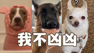 “วิดีโอเดียวพิสูจน์ว่าฉันไม่น่ากลัว!”