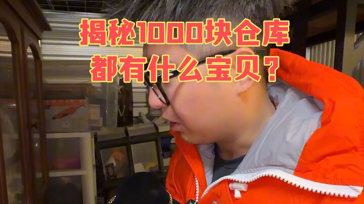 How Much Can You Really Make by Hunting for Bargains in Overseas Warehouses with $1,000?