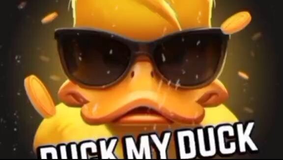 santo duck video