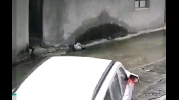 Man joyfully drives his new car home, only to mistake the accelerator for the brake and crash into h