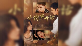 《小狗不听话》The Disobedient Puppy | Ma HaoDong & He TianTian