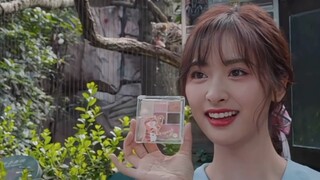 [Shen Yue] Yueyue is so beautiful! The collaboration between Hongshan Zoo and lipstick is so cute!