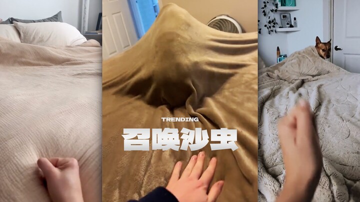 看完沙丘，都开始在自己家里召唤沙虫了😂