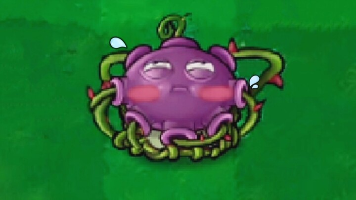 How did this plant pass the review?!