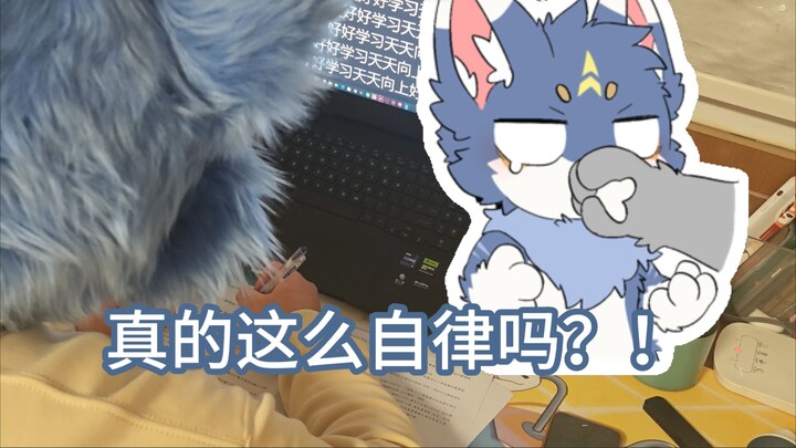 วันหยุดสุดสัปดาห์ของสตรีมเมอร์ฟิวรี่มัธยมปลายเป็นยังไงนะ~