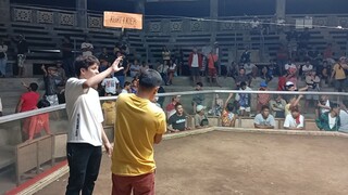 Win🔥7months old Gilmore/Vandamme