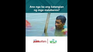 Ano nga ba ang katangian ng mga malabanos? | Born to be Wild