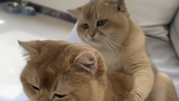 What’s got you down? Just turn around and let’s talk about it!