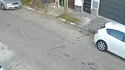 [Phim&TV] Con chó lớn phát điên và cắn chú chó nhỏ