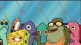 [Teaching you how to watch anime] Translation errors and differences in SpongeBob SquarePants Season