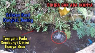 GAK NYANGKA!! SELOKAN DANGKAL, BENING, DKIRA GAK ADA IKAN!! TERNYATA BANYAK BROO!!