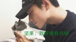 【肖战】那些年，肖战与哎呦的爱恨情仇。坚果：你瞅瞅我这头上是不是有点绿