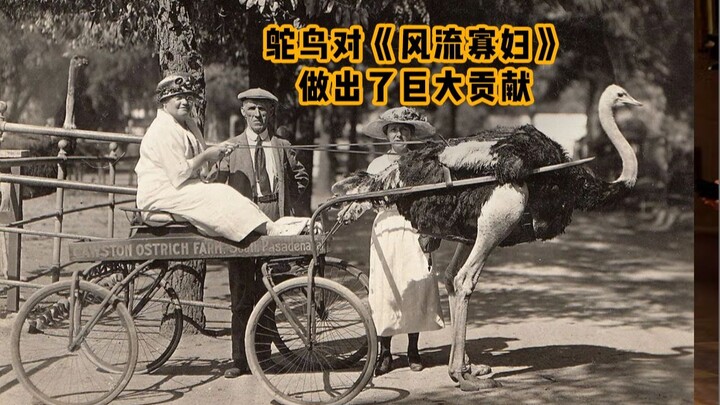 زيارة كواليس المسرح الوطني الكبير ورؤية النعامة... الريش!