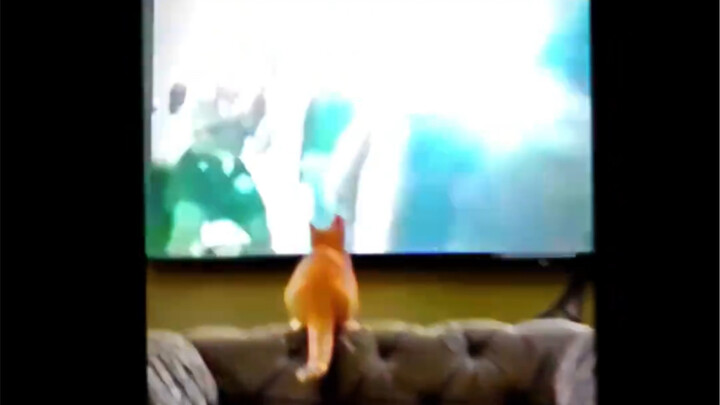 “Let Me See What’s Going On”