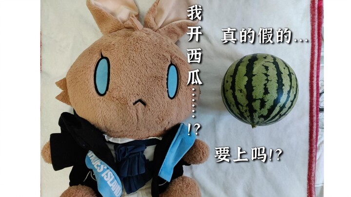 ทุกคนเปิดแตงโมได้ พวกเราเฉาหลงซานถู่ก็ต้องเปิดแตงโมด้วย!