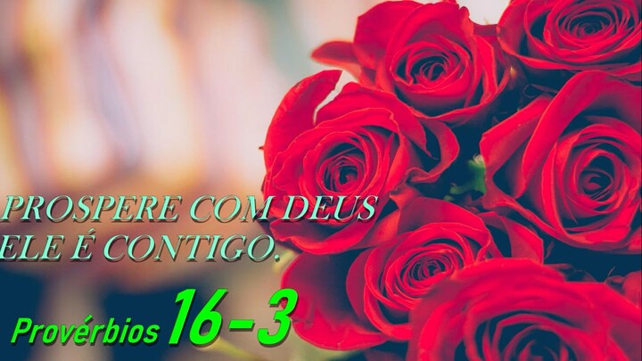 VIVA EM DEUS, PLANTE FRUTOS DE PROSPERIDADE, PALAVRAS DE DEUS PARA VOCE, ACALME