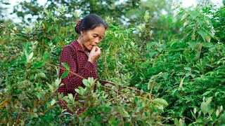 Lên đồi hái sim chín gợi nhớ tuổi thơ dữ dội biết bao người I Ẩm Thực Mẹ Làm