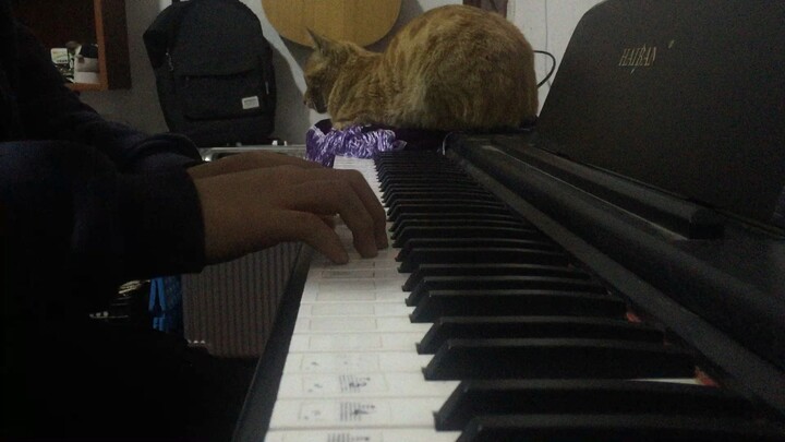 [ดนตรี] 【ครั้งนี้เป็นคนจริง】บรรเลงเปียโนไมน์คราฟต์เพลง "Wet Hands"