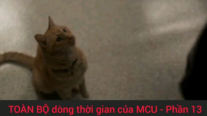 toàn bộ dòng thời gian của MCu #13