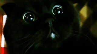 Chuyện này thật sự không phải tại tôi! Là "sách" động tay trước!