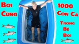 Vlogs | Bơi Cùng 1000 Con Cá Trong Bể Bơi Khổng Lồ - Trò Chơi Thi Vớt Cá Nhanh